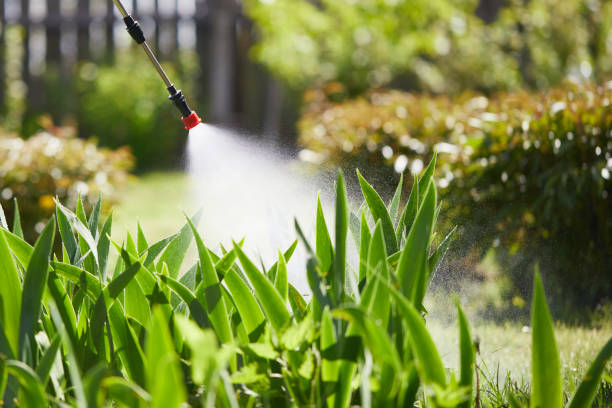 Void Injection for Cockroach Colonies in Royal Palm Estates