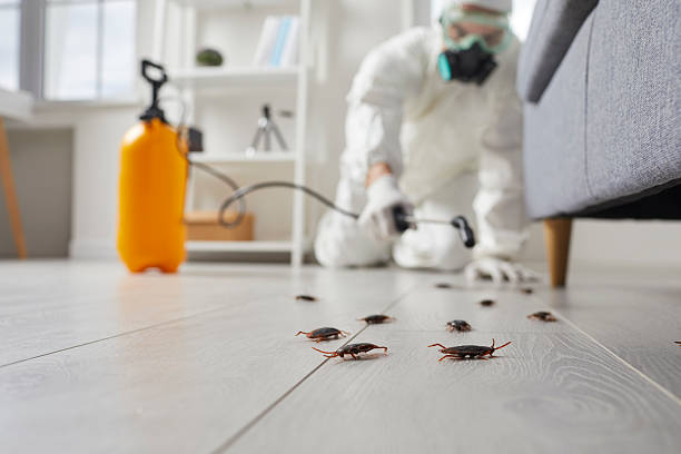 Commercial Kitchen Cockroach Control in Royal Palm Estates